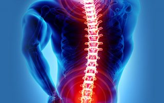 Medical Illustration of spine